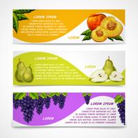 Coleção de banners de frutas mistas vetor