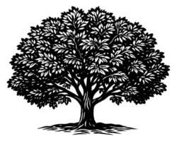 desenho de ilustração de árvore vetor