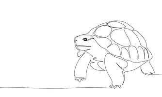 tartaruga 1 linha contínuo. linha arte tartaruga. mão desenhado arte. vetor