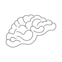 humano cérebro esboço ícone em branco fundo vetor