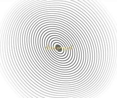 abstrato círculo padrão anel de cor preto e branco. ilustração em vetor abstrato para onda sonora, gráfico monocromático.