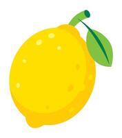 limão fruta plano Projeto ilustração vetor
