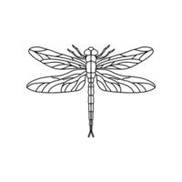 Preto libélula placa símbolo ícone logotipo . libélula esboço isolado libélula em branco fundo vetor
