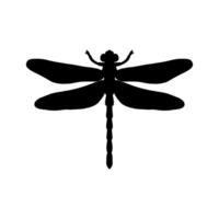 libélula Preto e branco silhueta ilustração. Preto e branco realista mão desenhando do libélula inseto em branco fundo vetor