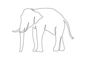 elefante contínuo solteiro linha desenhando pró ilustração vetor