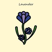 ilustração de flor de lavanda vetor