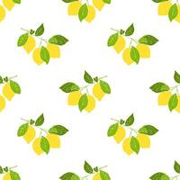 limões ramo padronizar com amarelo frutas citrino, mão desenhado esboço não contorno, branco fundo. vetor