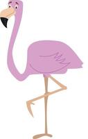 fofa desenho animado flamingo ilustração vetor