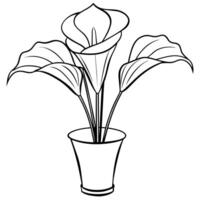 calla lírio flor em a vaso esboço ilustração coloração livro página projeto, calla lírio flor em a vaso Preto e branco linha arte desenhando coloração livro Páginas para crianças e adultos vetor