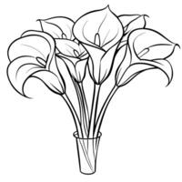 calla lírio flor ramalhete esboço ilustração coloração livro página projeto, calla lírio flor ramalhete Preto e branco linha arte desenhando coloração livro Páginas para crianças e adultos vetor