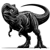 Preto e branco ilustração do uma trex dinossauro vetor