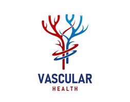 veia vascular artéria saúde ícone ou emblema vetor