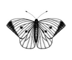 ilustração em vetor preto e branco de uma borboleta. desenho de inseto desenhado de mão. desenho gráfico detalhado da parede marrom em estilo vintage.