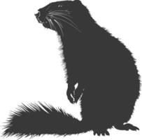 silhueta marmota animal Preto cor só cheio corpo vetor