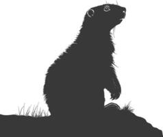 silhueta marmota animal Preto cor só cheio corpo vetor