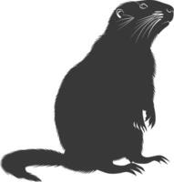 silhueta marmota animal Preto cor só cheio corpo vetor