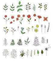 conjunto de vetores de flores coloridas, ervas, plantas. pacote brilhante e alegre de elementos de design natural. estilo cartoon