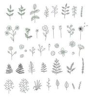 conjunto de vetores de flores preto e brancas, ervas, plantas. pacote monocromático de elementos de design natural. estilo cartoon