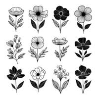 conjunto do simples elegante monocromático Preto e branco dentro mão desenhado flores ilustrações vetor