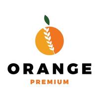 laranja fruta ícone logotipo modelo ilustração Projeto vetor