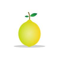 ilustração em vetor de textura de design.yellow de frutas de limão. branco isolado. design moderno de frutas