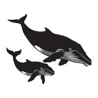 mãe e bezerro baleia ilustração dentro Preto e branco vetor