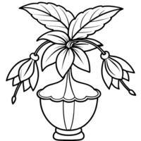 fúcsia flor em a vaso esboço ilustração coloração livro página projeto, fúcsia flor em a vaso Preto e branco linha arte desenhando coloração livro Páginas para crianças e adultos vetor