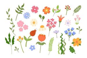 fofa flores e folhas definir. ilustração. floral botânico elementos isolado em branco fundo. mão desenhado natural Prado flor objetos vetor