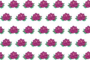 ilustração do profundo Rosa peônia flor ramalhete em branco fundo. vetor