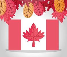 bandeira canadense e desenho vetorial de folhas de outono vetor