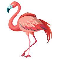 flamingo pássaro plano estilo ilustração vetor