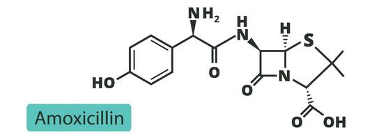 amoxicilina beta lactâmico antibiótico medicamento. químico e esquelético Fórmula. vetor