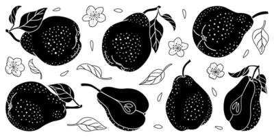 pera silhuetas definir. minimalista simples fruta elemento. todo e fatiado peras com sementes, flores e folhas. isolado em uma branco fundo. Preto silhuetas ilustração. vetor