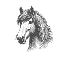 face do mão desenhado cavalo vintage estilo criada digitalmente vetor