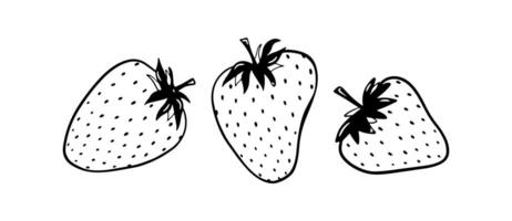 rabisco morango ilustração. Preto mão desenhado abstrato fruta. verão esboço baga desenho. três solteiro elementos vetor