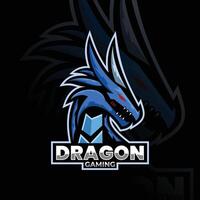 Dragão animal mascote logotipo esport logotipo equipe estoque imagens vetor