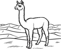 alpaca coloração Páginas. alpaca animal esboço para coloração livro. animais linha arte vetor