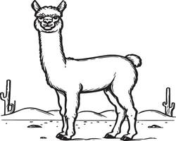 alpaca coloração Páginas. alpaca animal esboço para coloração livro. animais linha arte vetor