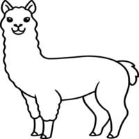 alpaca coloração Páginas. alpaca animal esboço para coloração livro. animais linha arte vetor