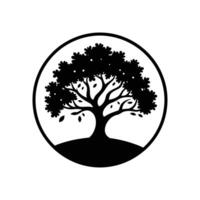 carvalho árvore ícone isolado em branco fundo vetor