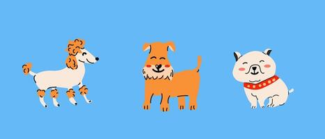 conjunto do diferente cães, fofa cachorro desenho animado personagens vetor