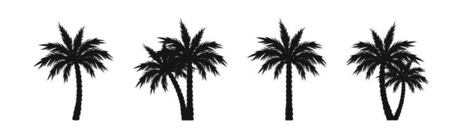 tropical Palma árvore silhuetas. Palma árvore ícones. Palma silhueta conjunto vetor