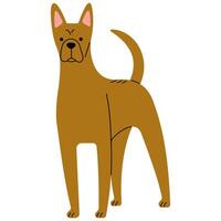 tailandês ridgeback fofa em uma branco fundo, ilustração. vetor