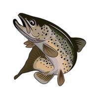 truta pescaria ilustração logotipo imagem t camisa vetor