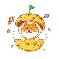 Desenho da moeda doge, shiba inu na lua com a bandeira verde na galáxia com estrelas. vetor