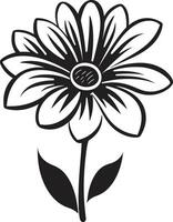 brincalhão mão desenhado pétala monocromático Projeto símbolo rabiscado flor ícone Preto vetorizado logotipo vetor