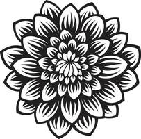 artístico pétala elegância monótono botânico assinatura chique icônico emblema vetor