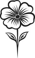 casual rabisco pétala monocromático icônico Projeto simples esboçado flor Preto mão desenhado quadro, Armação vetor
