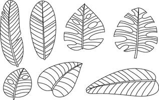 tropical folhas dentro rabisco estilo. mão desenhado Preto linha Projeto elementos. exótico verão botânico ilustrações. monstera folhas, Palma, banana folha. vetor