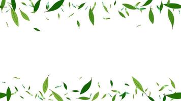 folha ramo verde fresco decoração fundo, pano de fundo quadro, Armação ecologia conceito vetor